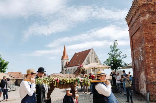 Festival vína VOC Znojmo